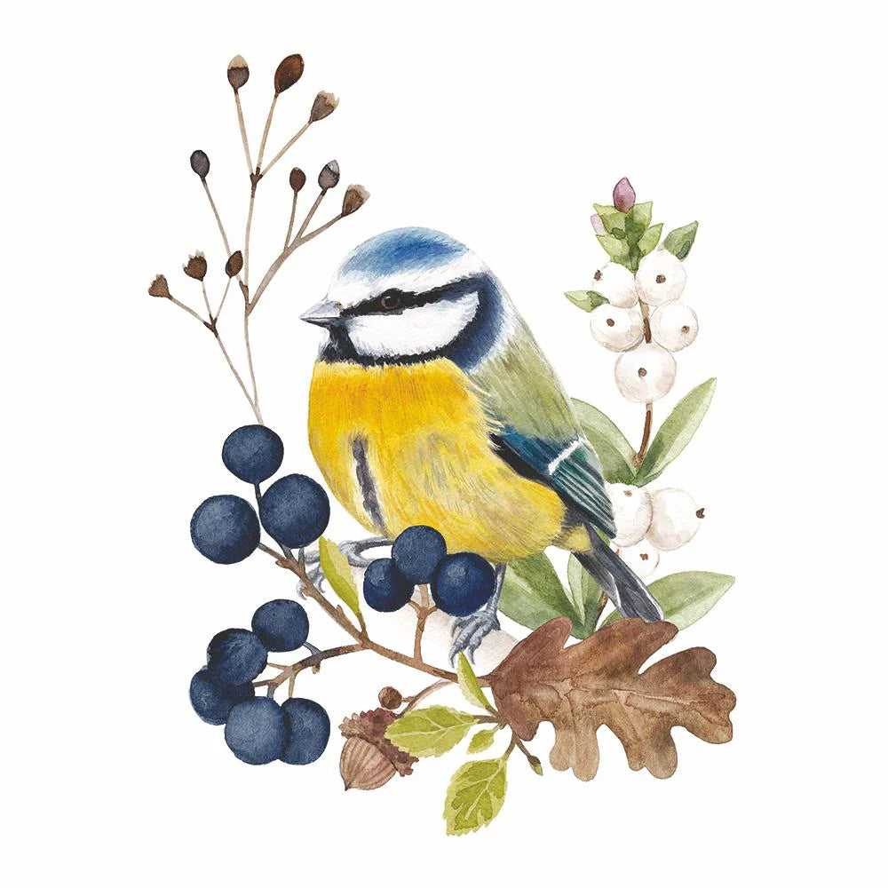 Oiseau Paper Napkin 20 Pk