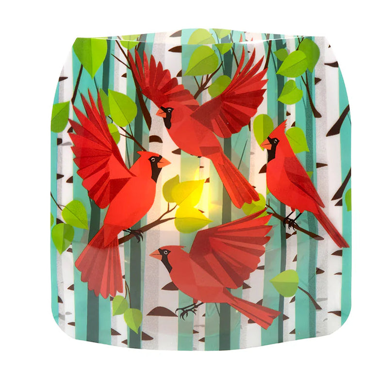 Modgy Luminary Lanterns