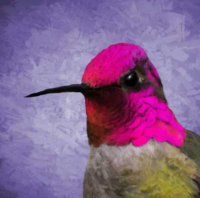 Pauly Joe Birds w/Attitude 8x8