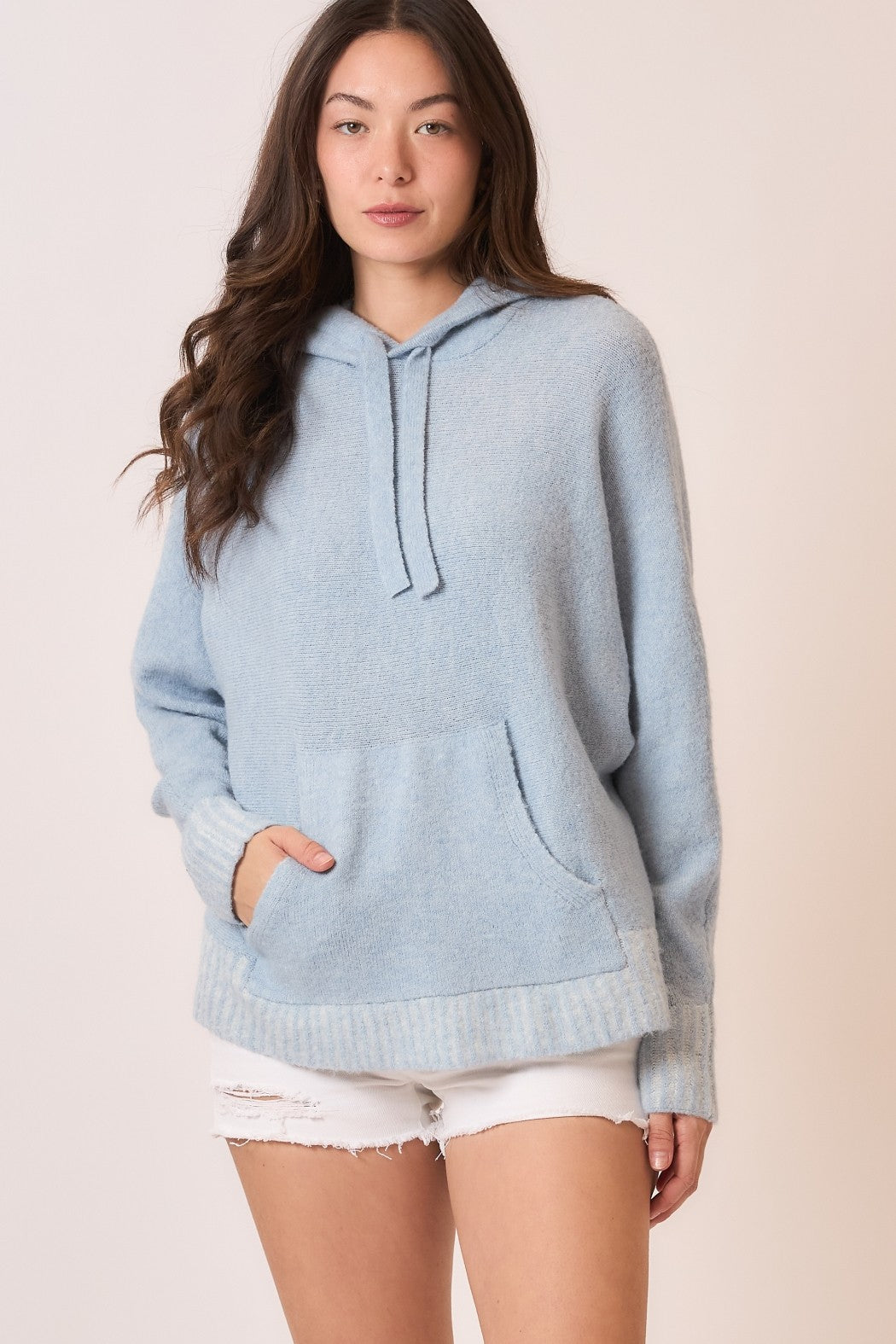 Journey Hooded Sweater
