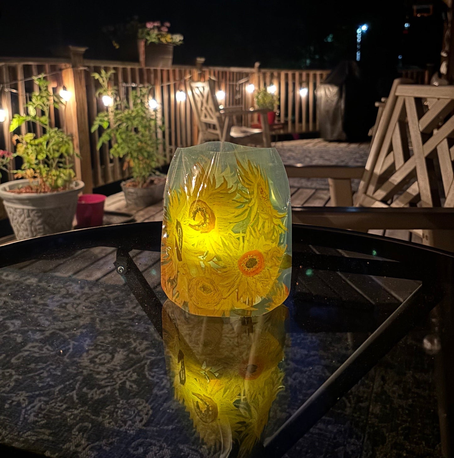 Modgy Luminary Lanterns