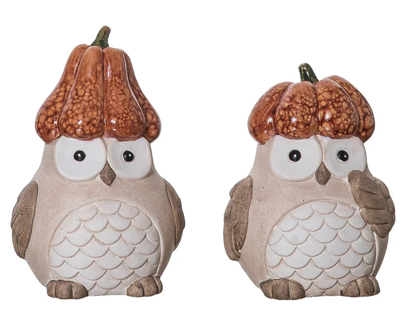 Owl with Pumkin Hat