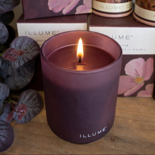 Illume Boxed Glass Candle