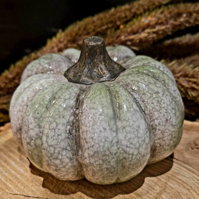 Sage Harvest Pumkin